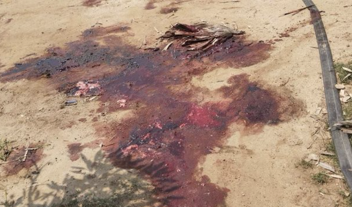 အကြည်ပန်းပလွန်မှာ ရွာသားတွေသတ်ဖြတ်ခံခဲ့ရပြီး သားသမီးဆုံးရှုံးရတဲ့မိခင်တွေလည်း ရှိခဲ့ပါတယ်။