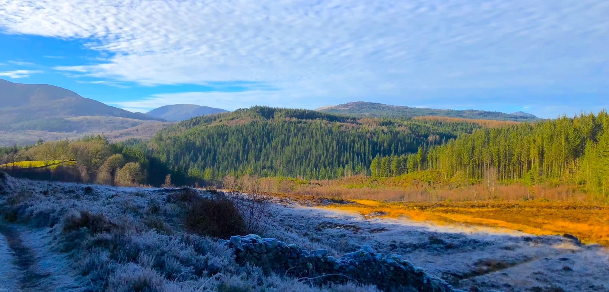 Yr olygfa o'r Gors Copr