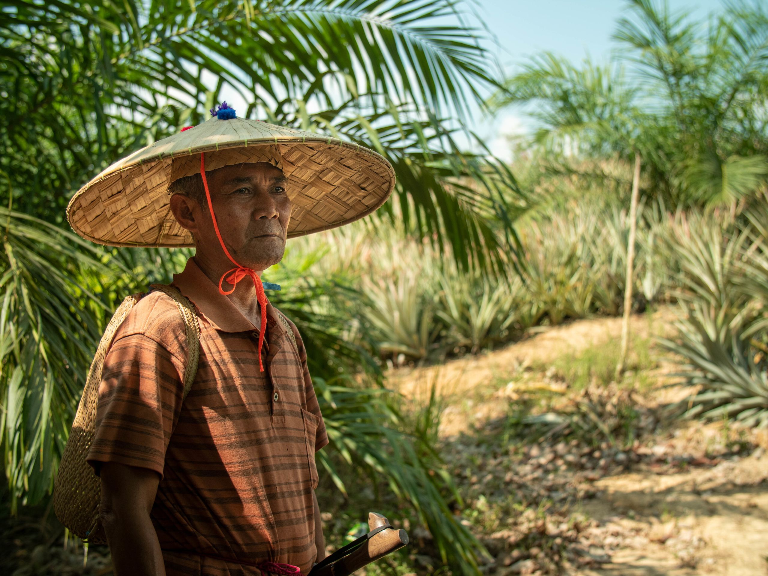 Kutipan dari Sabukdin, tetua adat Dayak Paser 