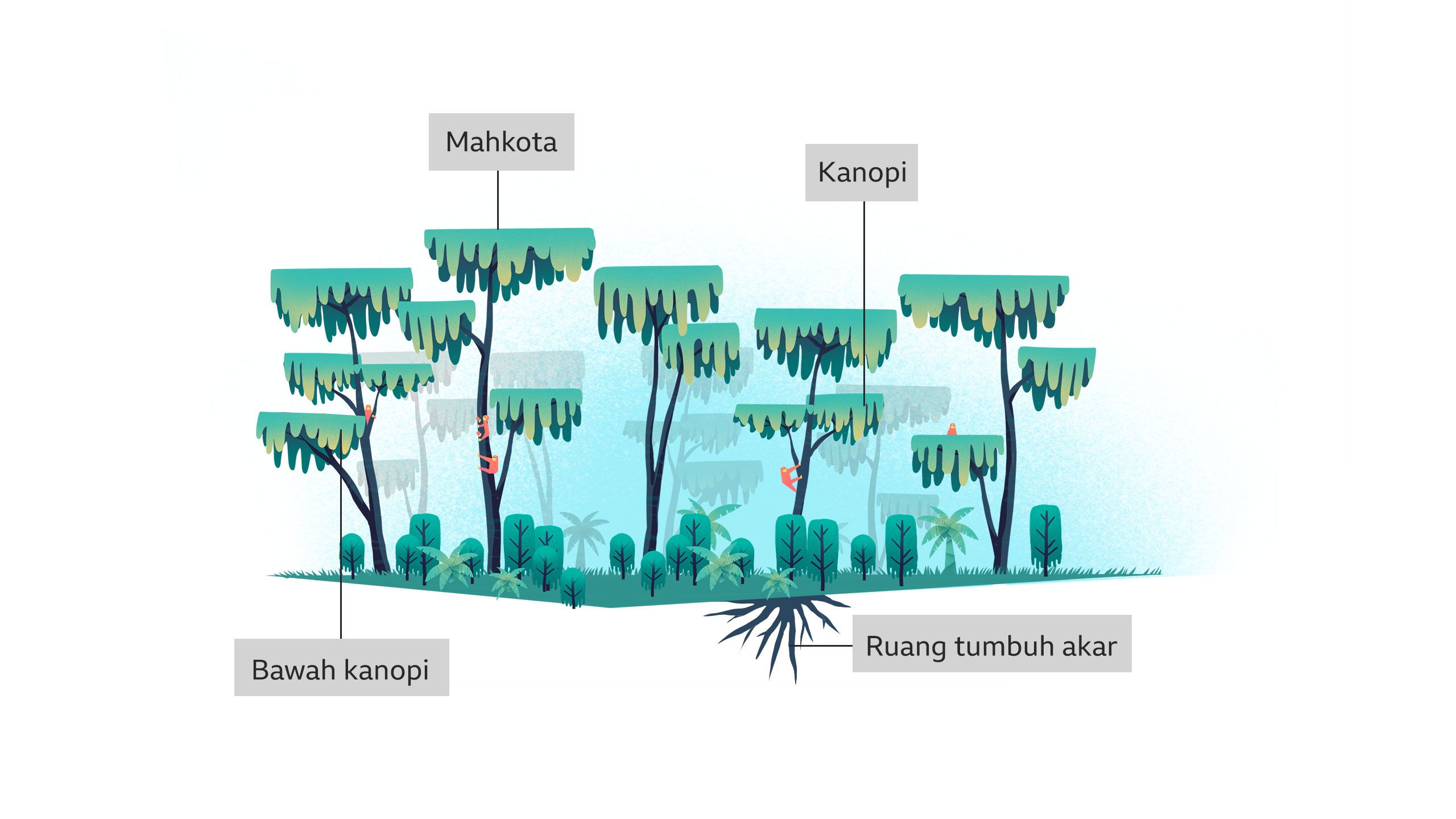 Penjelasan biomimikri