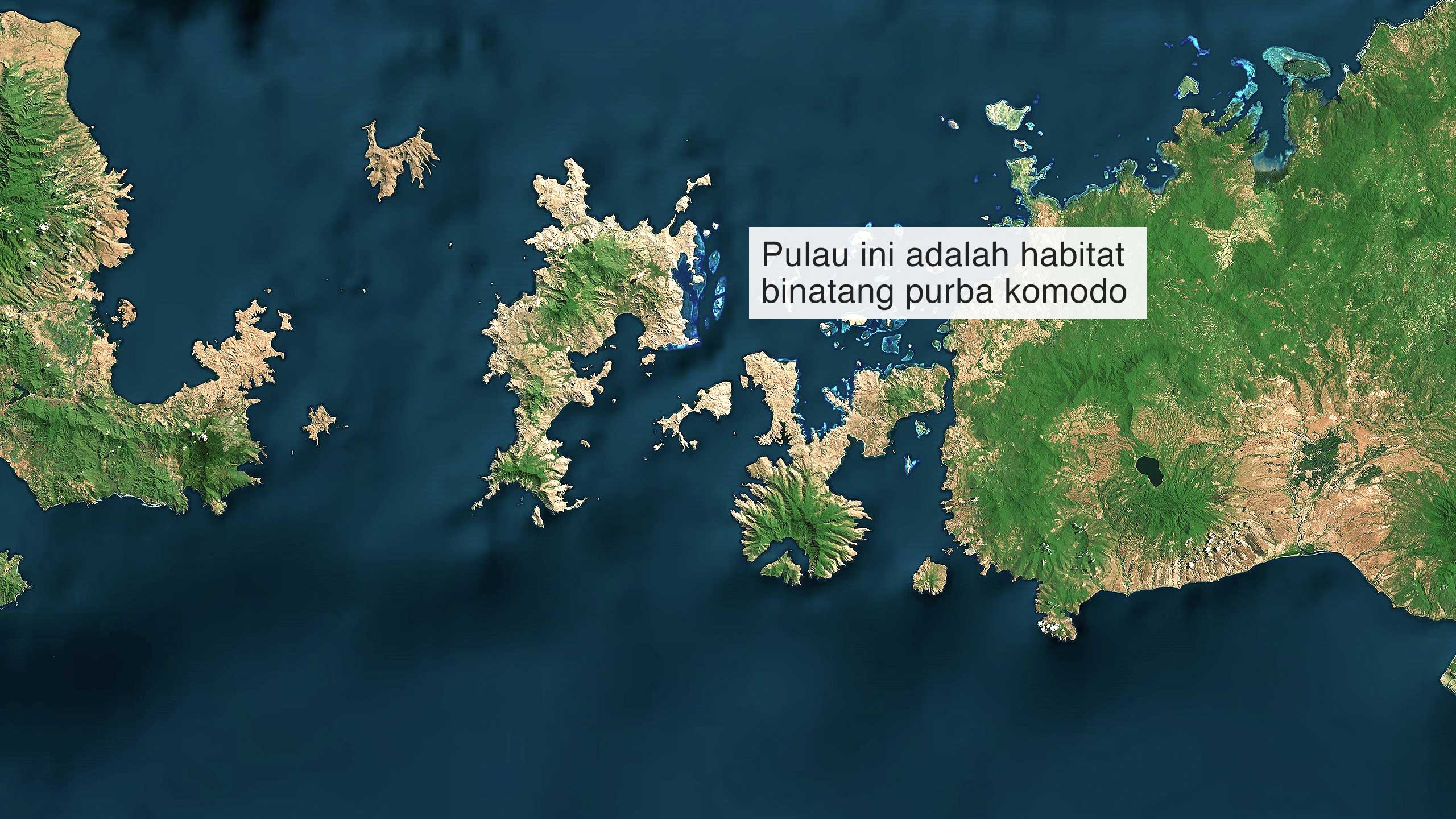 Haruskah Komodo Dipisahkan Dari Manusia