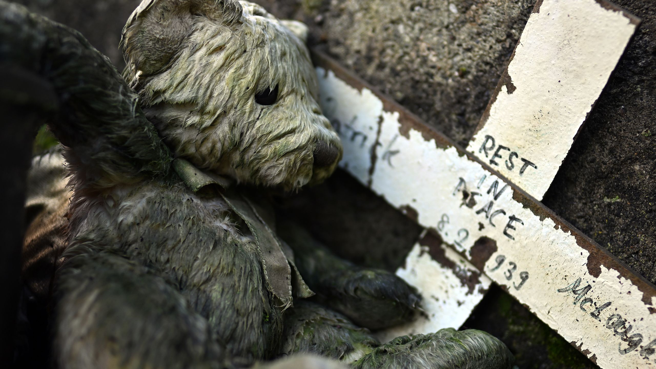 A small memorial at the site showing a damp, old brown teddy bear beside an eroded white cross saying 'rest in peace'.