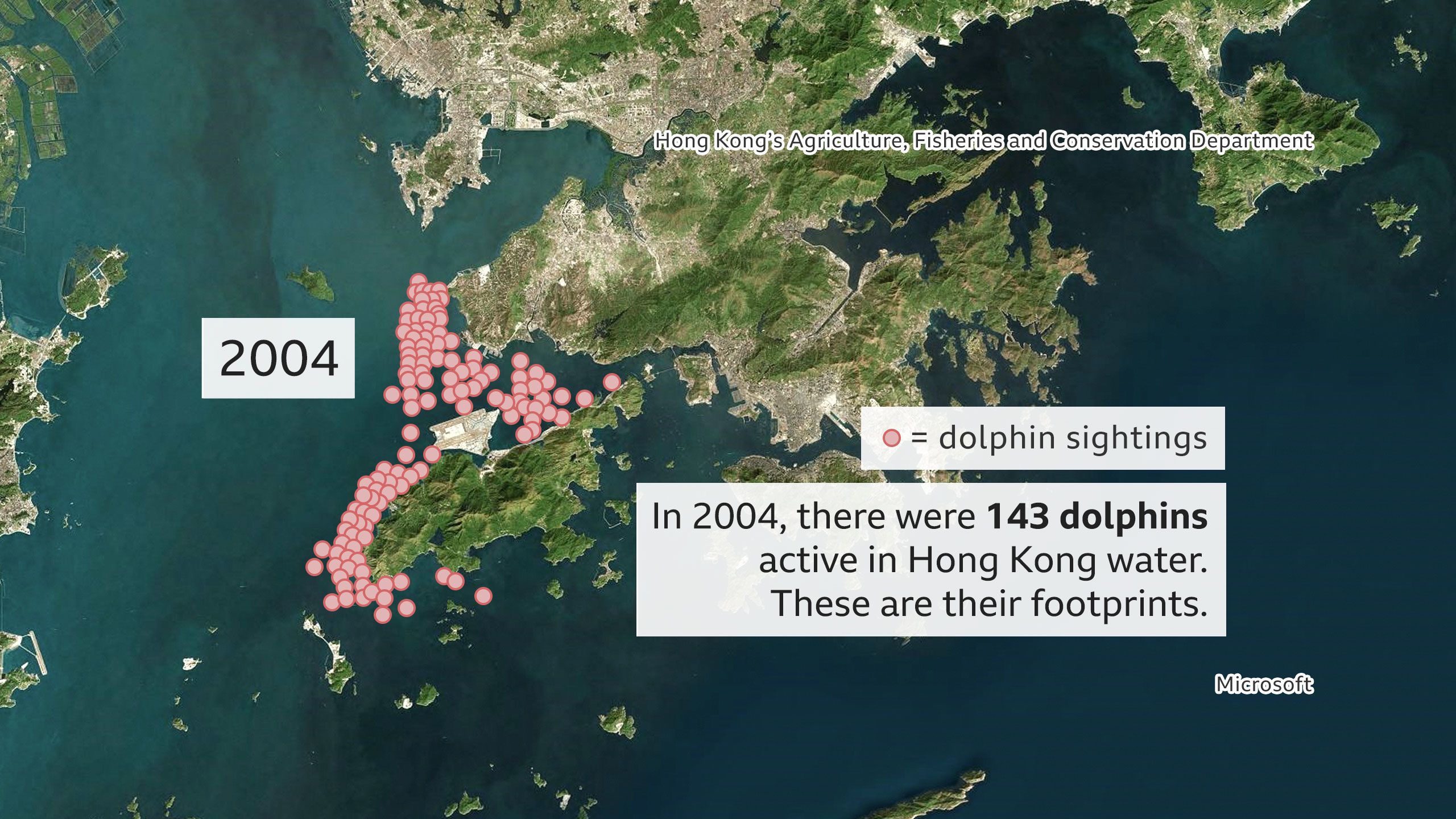 Are Hong Kong S Pink Dolphins About To Disappear