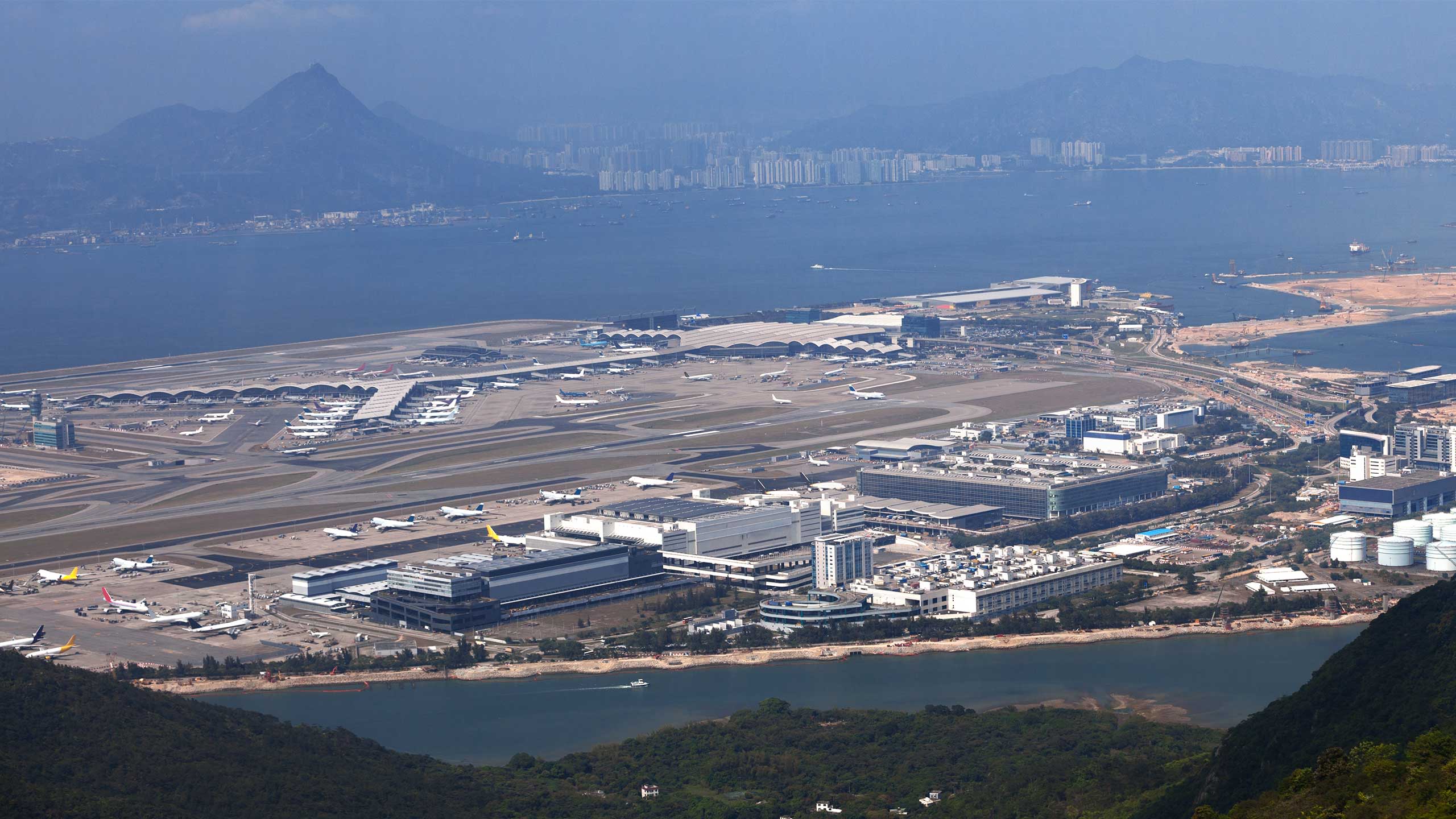 Are Hong Kong S Pink Dolphins About To Disappear