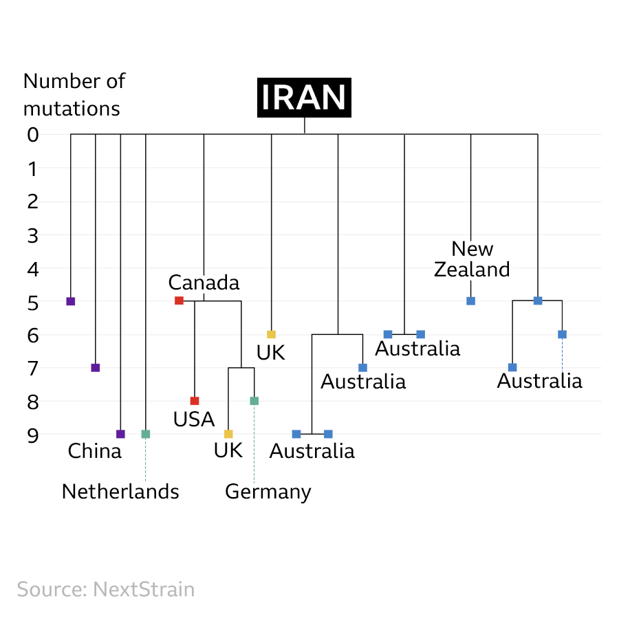 A transmission tree of genetically similar covid-19 samples, all originating in Iran