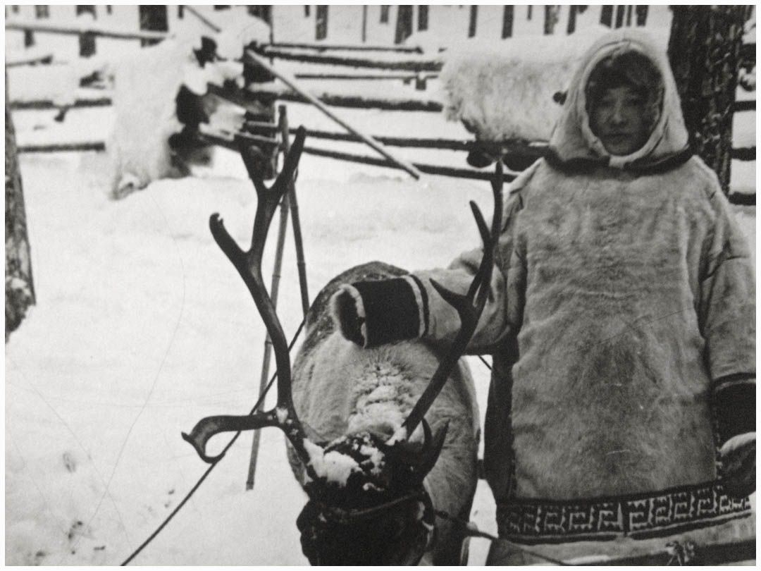 Man and reindeer