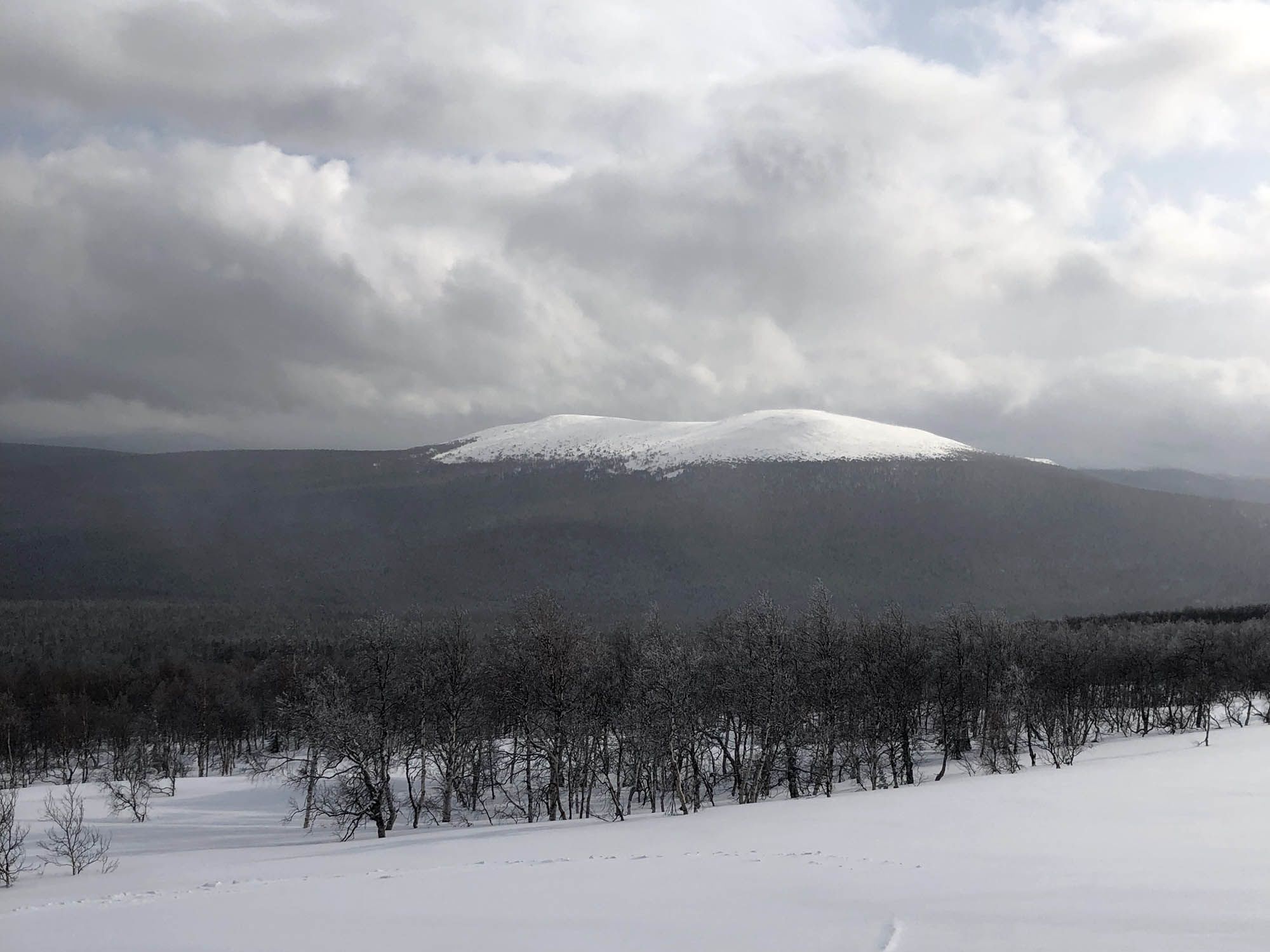 dyatlov pass incident explained