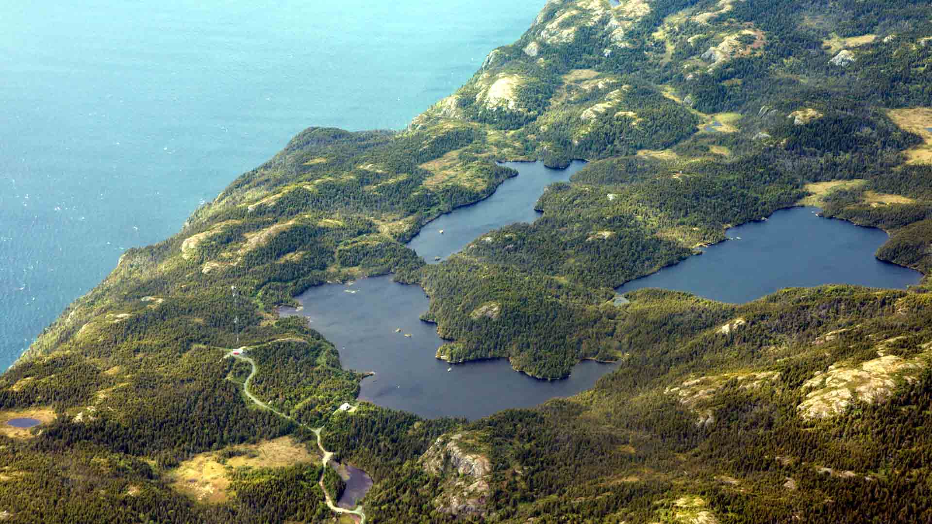 Coast of Newfoundland