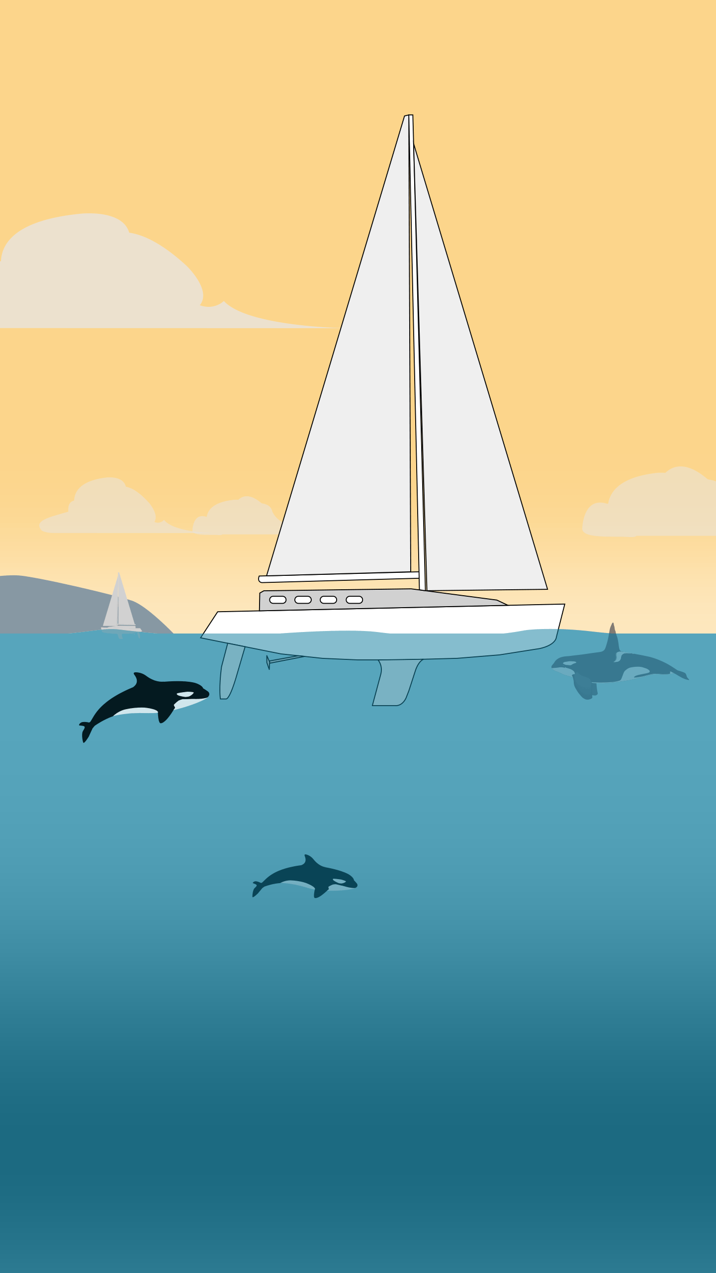 Have rogue orcas really been attacking boats in the Atlantic?