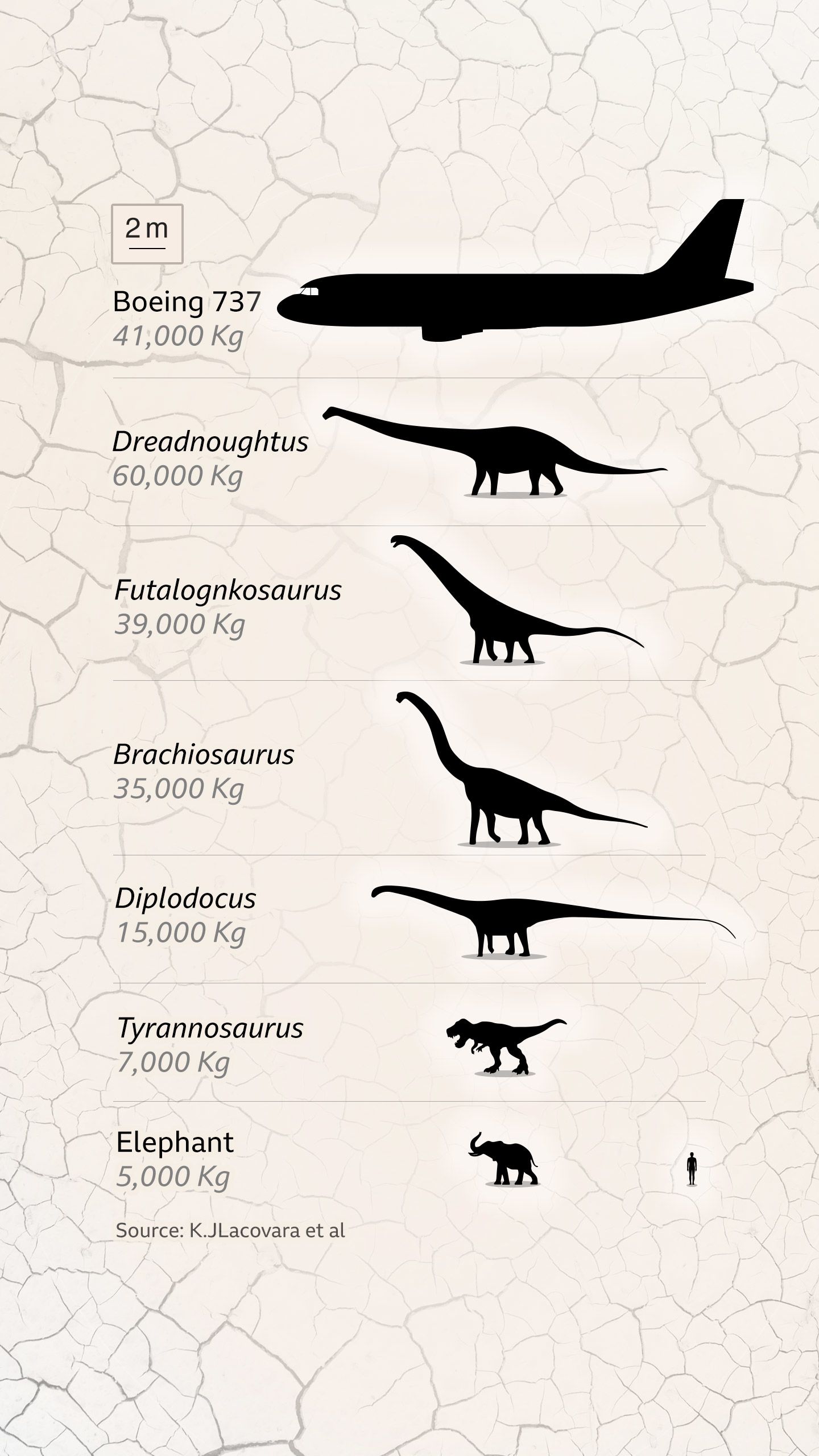 Mission Jurassic Searching For Dinosaur Bones