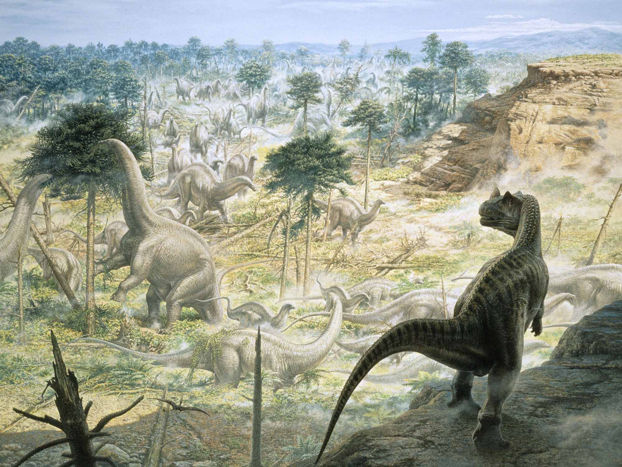 Dinosaurs