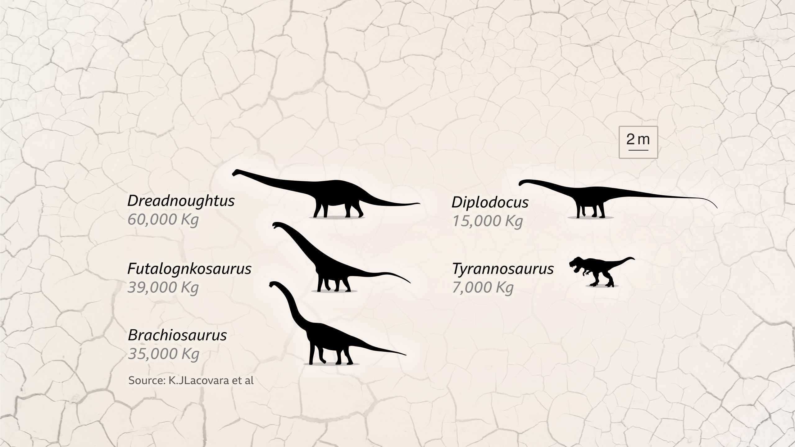Mission Jurassic Searching For Dinosaur Bones