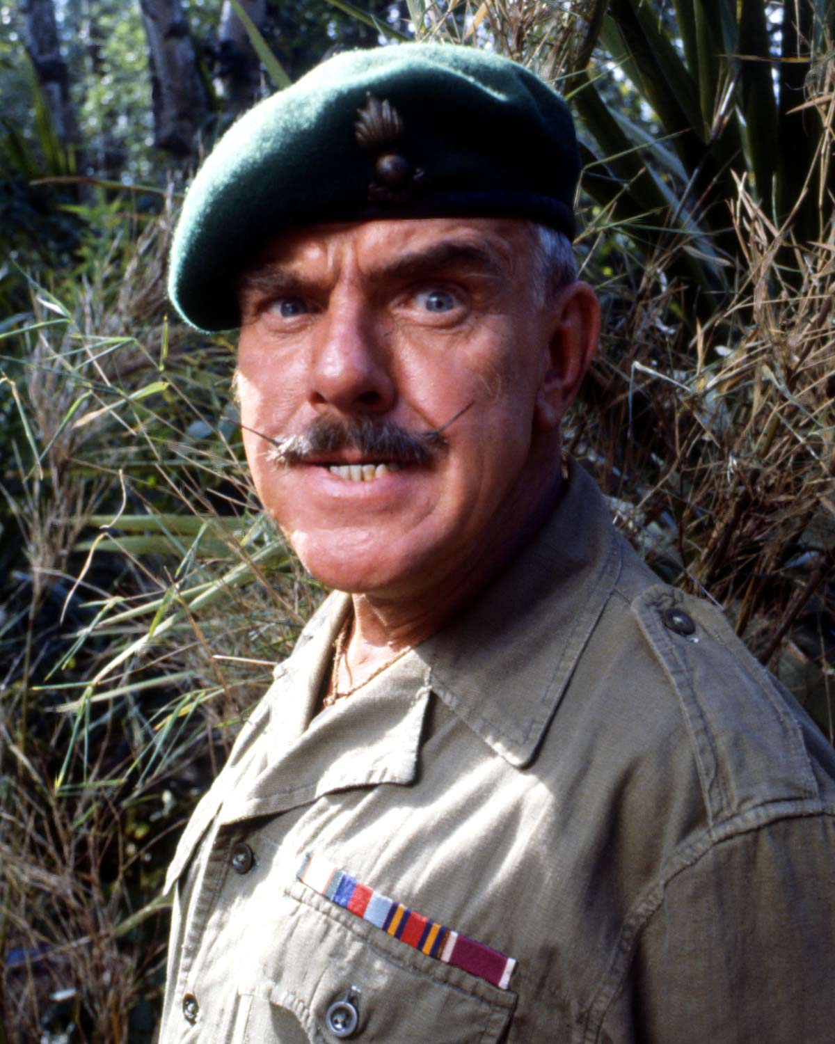 Windsor Davies