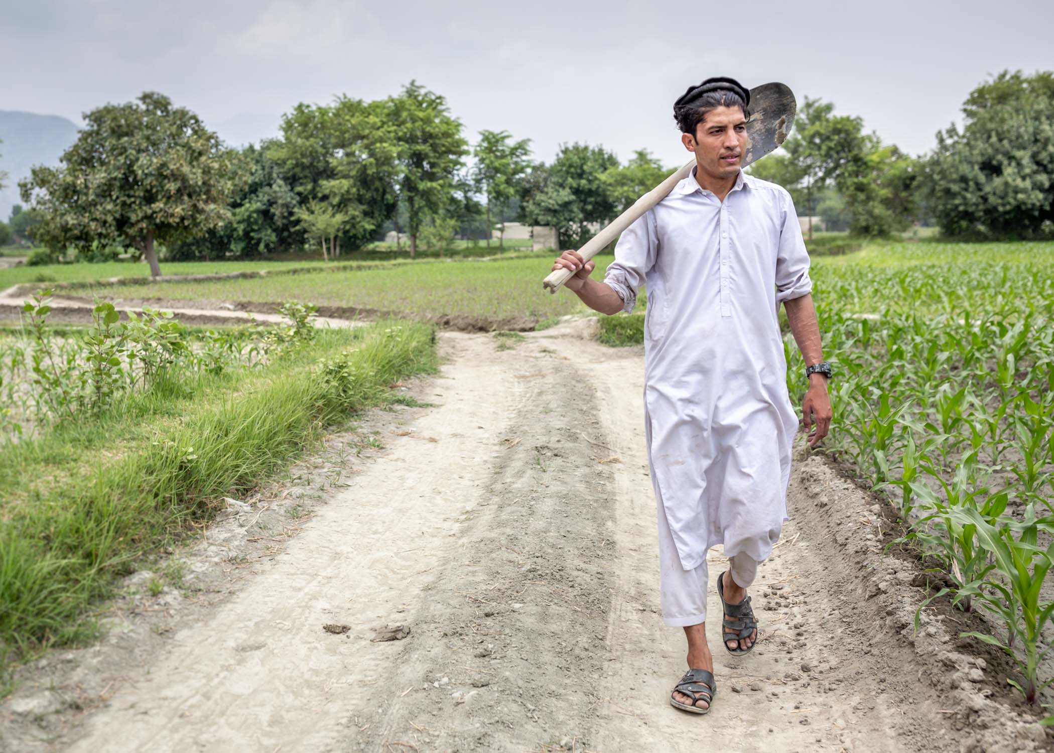 Nematullah walks through his farm