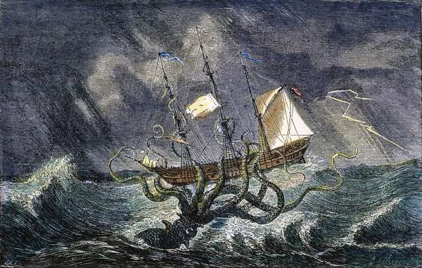 The Kraken