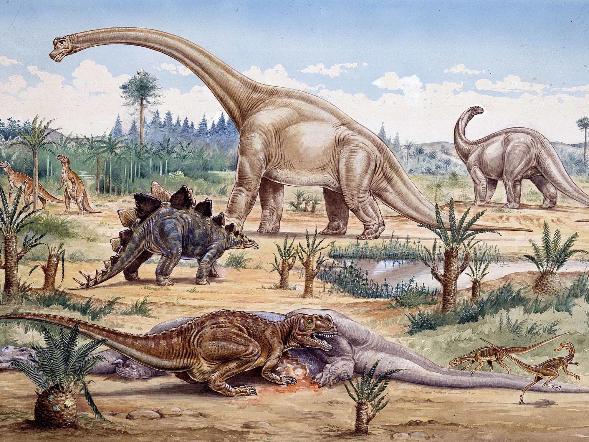 Dinosaurs