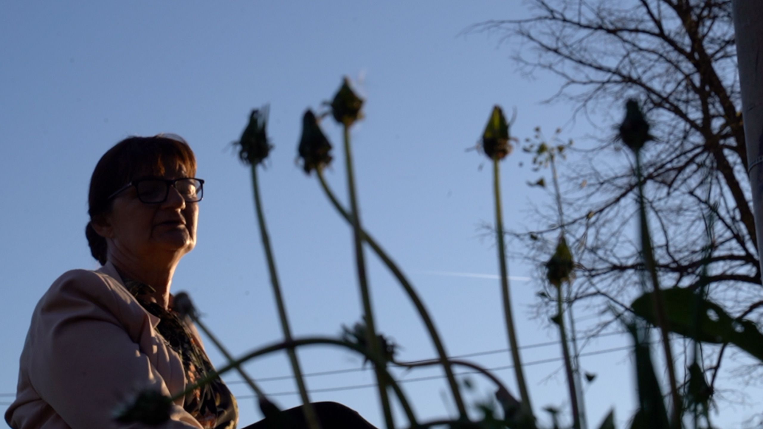 Fotografija Božice Živković Rajilić, jedne od žrtava, donji rakurs, sa zatvorenim maslačkom