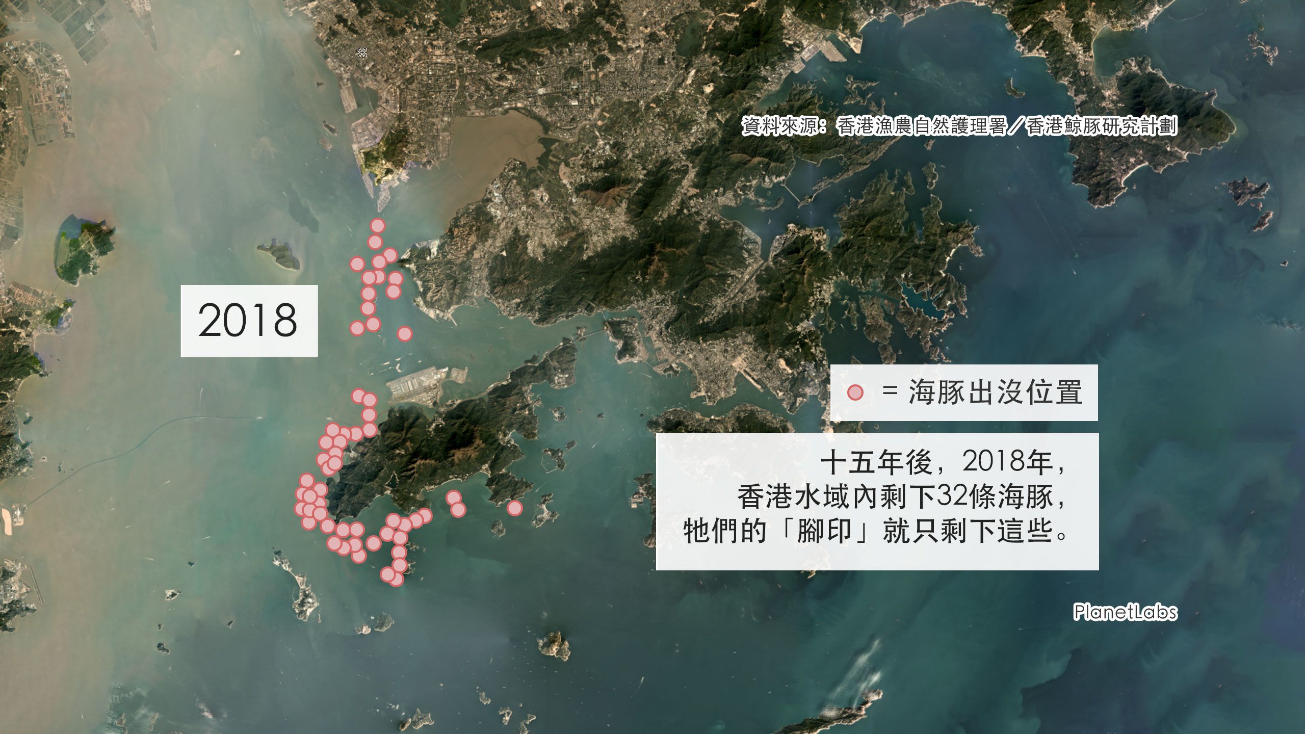 A map showing pink dolphin sightings in 2018 with a label that reads "But the latest report shows only 32 dolphins remain."