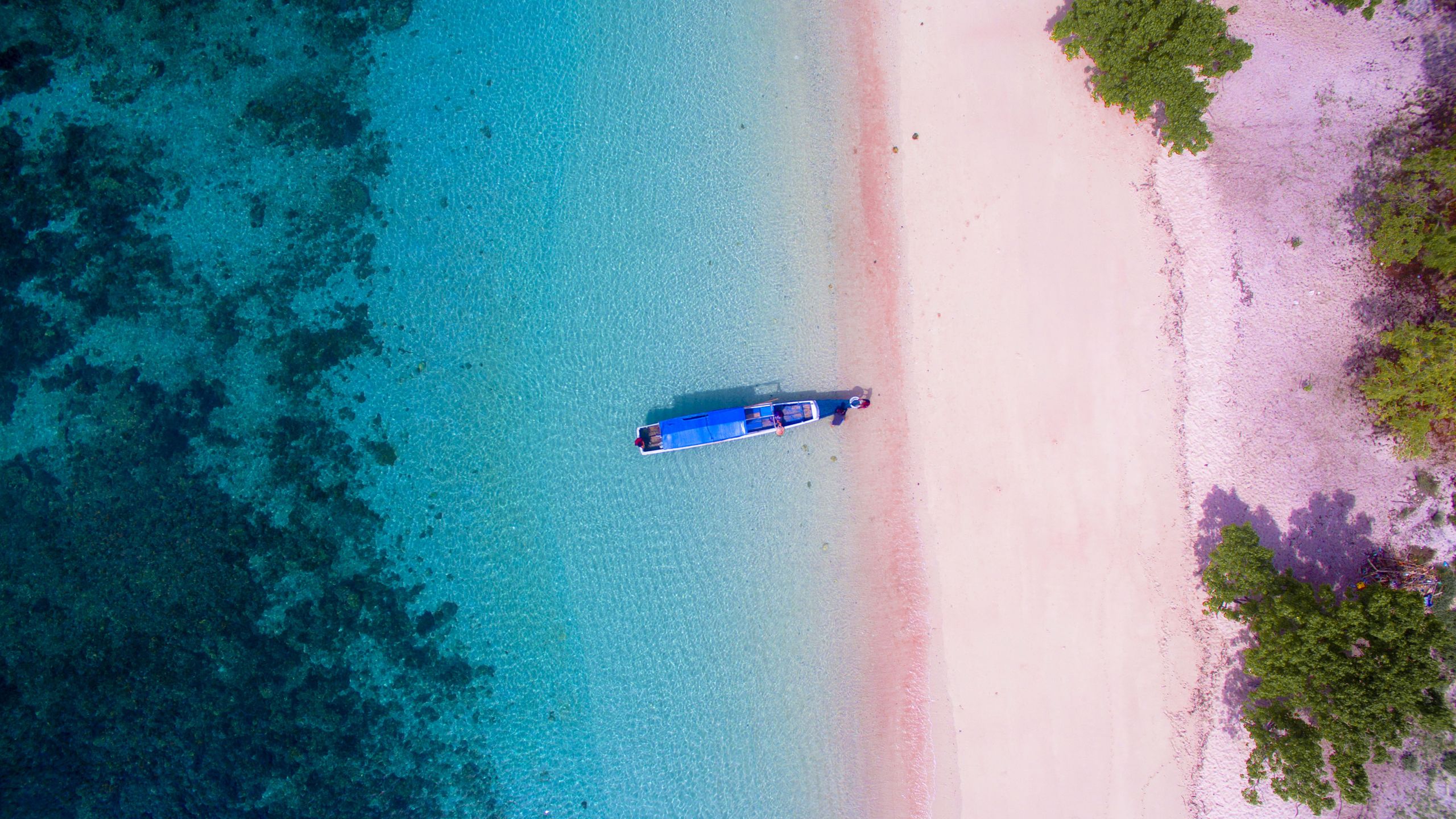 Pink Beach, Komodo National Park, Indonesia. Getty Images