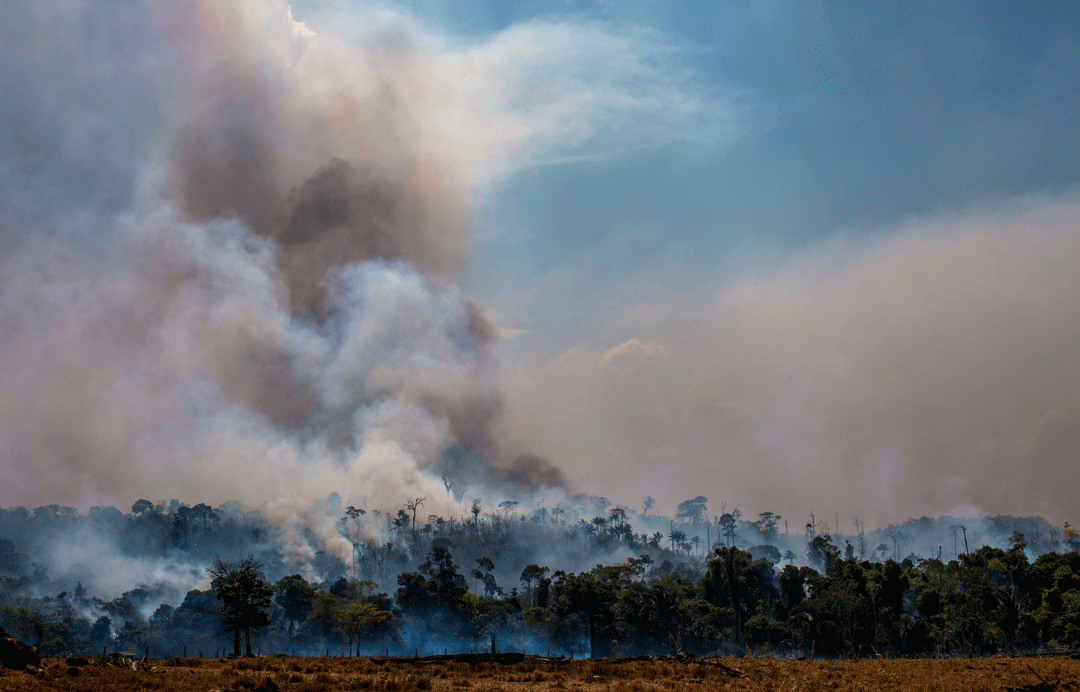 Forest Fires Are They Worse Than In Previous Years c News