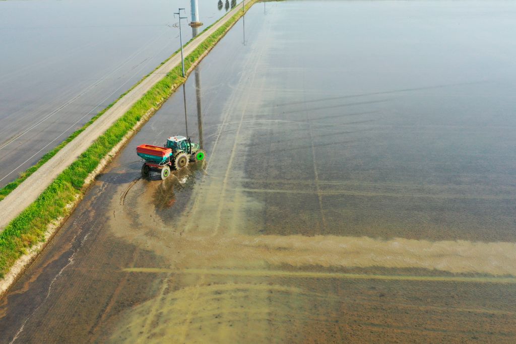 Agricultura intensiva. 