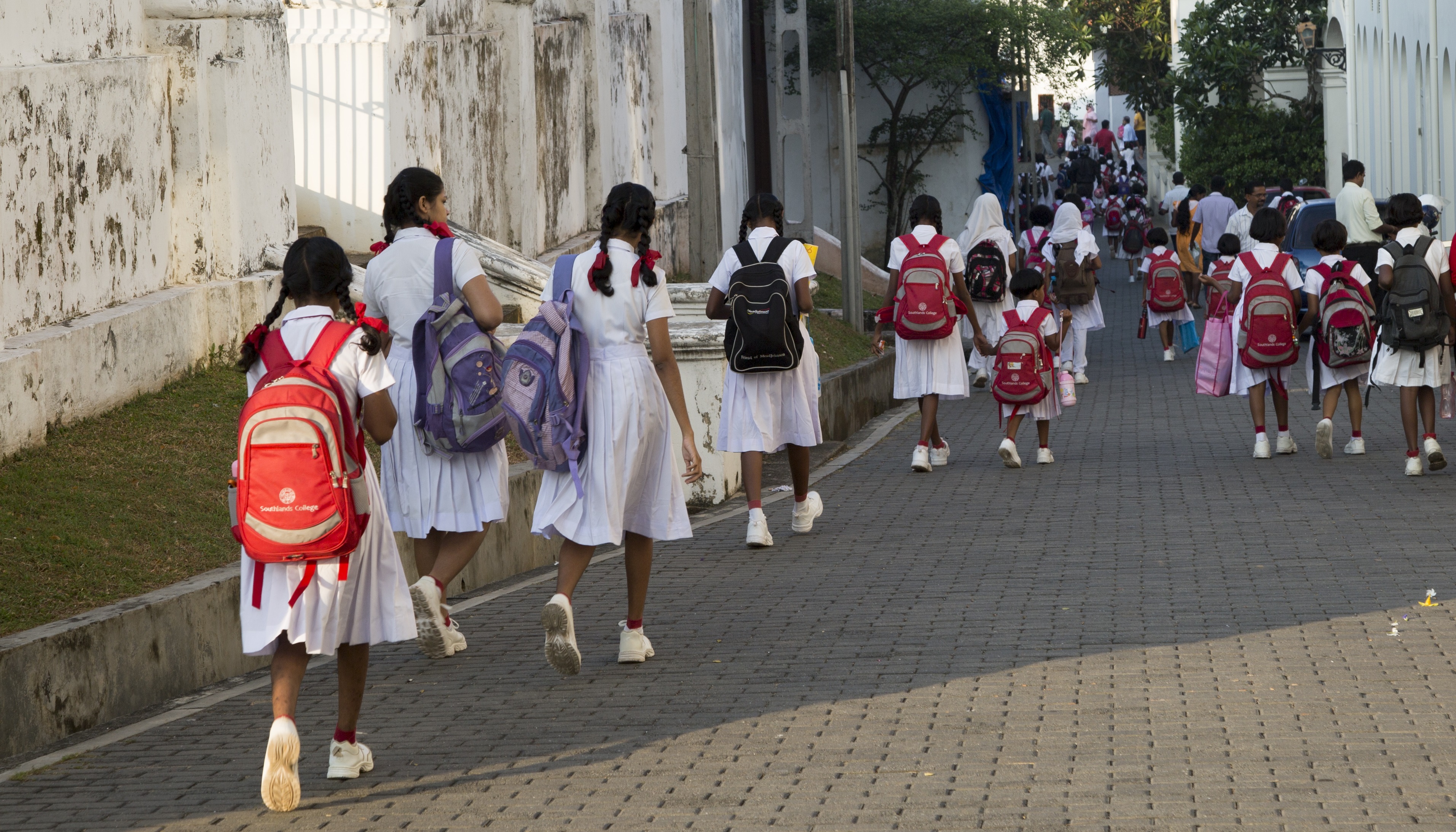 ජනාධිපතිවරණය ශ්‍රී ලංකාවේ පෑඩ් භාවිතය ගැන මේ කරුණු දැන සිටියා ද