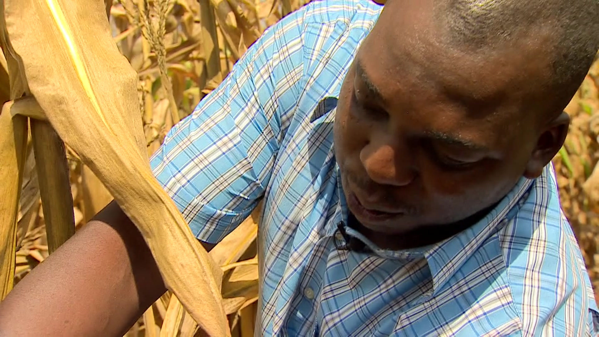 Zimbabwe S White Farmers Who Will Pay Compensation Bbc News