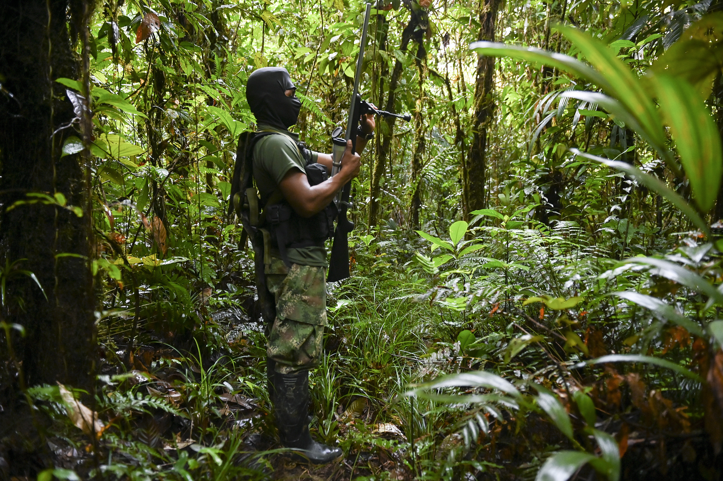 Members of the National Liberation Army (ELN) during training in the jungle