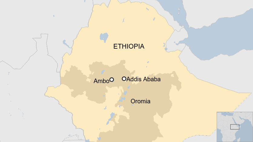 Popular Ethiopian protest singer shot dead