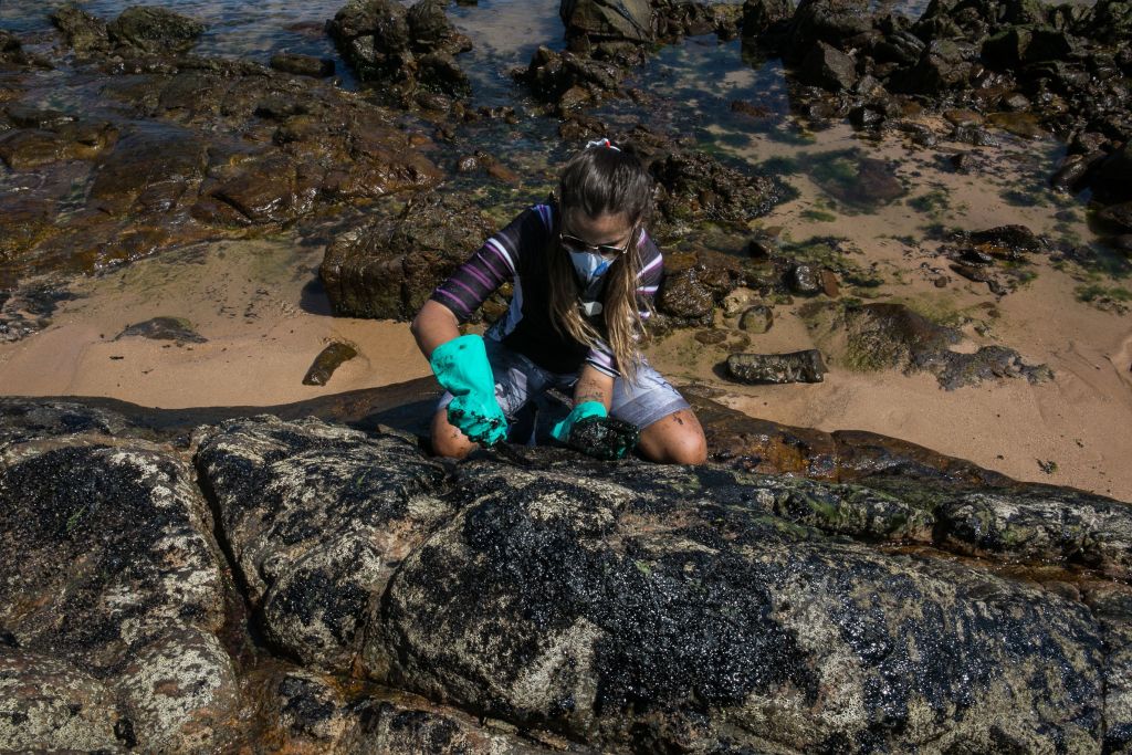 A volunteer cleans up oil off a beach.