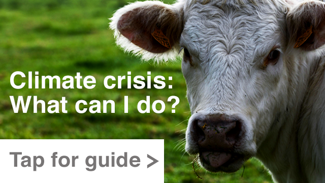 Guide: Climate crisis - how can I help?