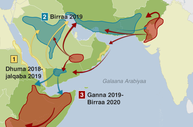 Danaa akkaataa hoomaan awaannisaa biyyoota Arabaa galaanatti marsanii argaman irraa gara gaanfa Afriikaa fi daangaa Indiyaa fi Paakistaanitti itti tatamsa'u agarsiisu.