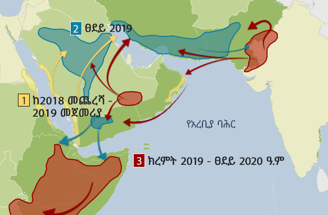 የአንበጣው መንጋ በተለያዩ ወቅቶች እንዴት እንደሚያድግና ከአረብ ልሳነ ምድር ወደ የአፍሪካ ቀንድ እንዲሁም ወደ ህንድና ፓኪስታን ድንበር እንዴት እንደተዛመተ የሚያሳይ ካርታ።