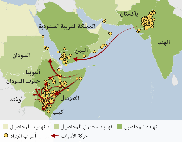 خريطة تظهر كيف تغزو أسراب الجراد القرن الإفريقي على جانبي البحر الأحمر والحدود الباكستانية الهندية. ويتحرك الزحف عبر إثيوبيا وكينيا  ويمكن أن ينتقل لبلدان أخرى.