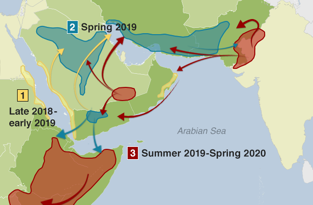 Map showing how the locust swarms developed over a number of seasons and moved from the Arabian Peninsula to the Horn of Africa and the India-Pakistan border