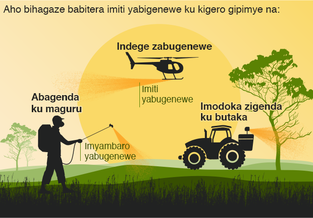 Igicapo ntangamakuru c'ukuntu imigwi y'inzige ishobora kurwanywa hakoreshejwe imiti yo gupoma bagenda n'amaguru, hakoreshejwe indege canke imodoka.