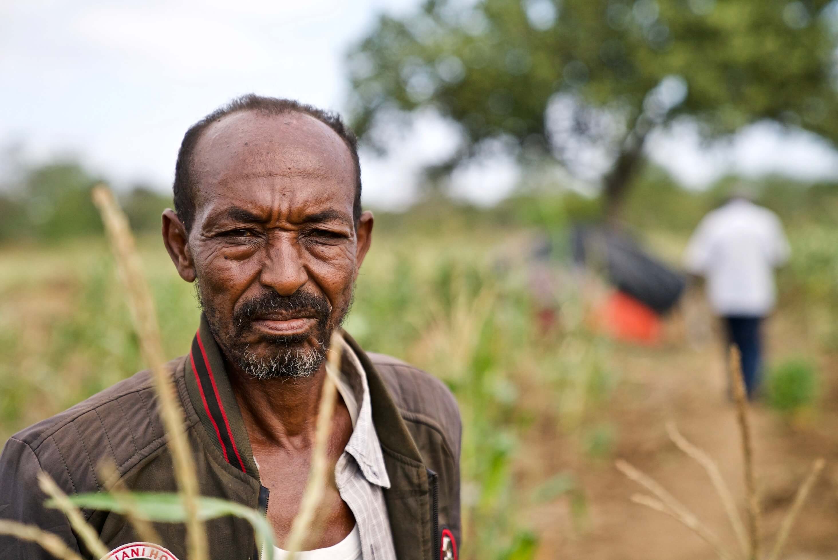 Image of Ali Bila Waqo, whose crops have been devastated by locusts