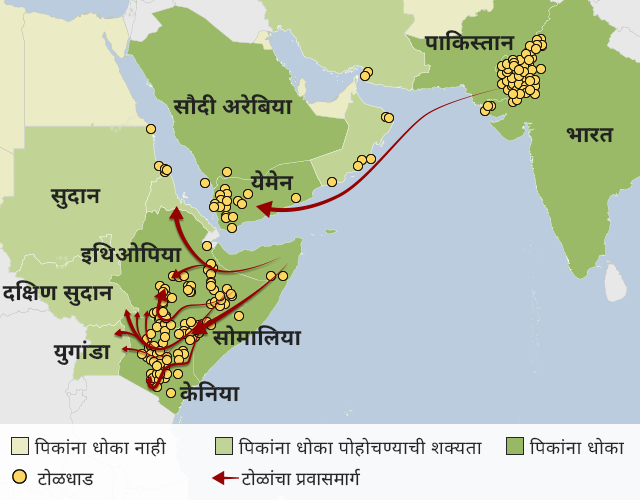 या नकाशावरुन टोळधाड तांबडा समुद्र आणि भारत-पाकिस्तानाच्या सीमेसह हॉर्न ऑफ आफ्रिकेत पिकांचं नुकसान करत आहेत. ही टोळधाड इथिओपिया आणि केनियाच्या दिशेनेही जात आहे. त्यानंतर ते दुसऱ्या देशांच्या दिशेने सरकतील.
