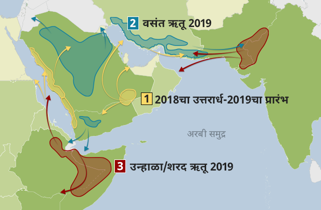 टोळधाड