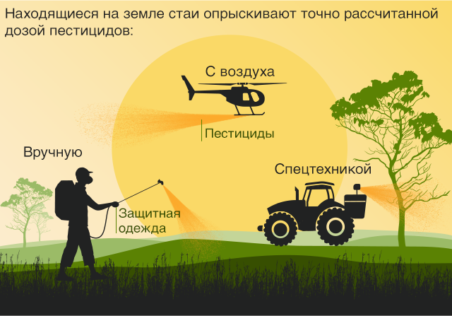 Инфографика, показывающая, как можно бороться с саранчой с помощью пестицидных аэрозолей, доставляемых людьми, самолетами или наземным транспортом