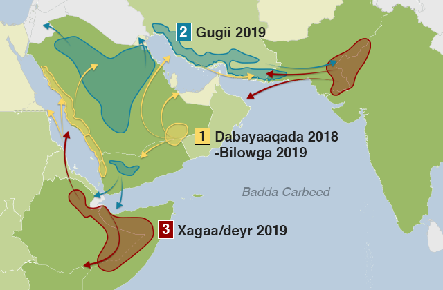 Khariidad muujinaysa sida koronkorrada ayaxu isu ballariyeen dhawr xilli, ugana soo gudbeen gacanka Carabta iyagoo u dhaqaaqaya Bariga Afrika iyo xadka Hindiya iyo Pakistan