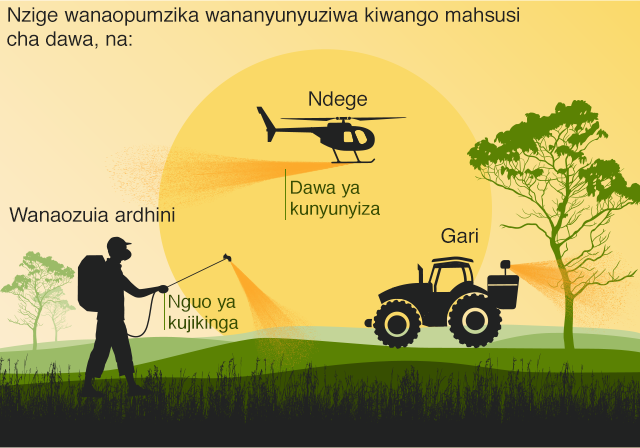 Mchoro unaonesha namna gani nzige wanaweza kudhibitiwa kupitia unyunyuziaji wa dawa kupitia kutembea kwa miguu, kwa ndege ama magari.