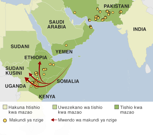 Ramani inayoonesha makundi ya nzige Pembe ya Afrika, Bahari ya Shamu na mpaka wa Indai na Pakistani. Nzige pia wapo Kenya na Ethiopia na wanaweza kuingia nchi nyengine.