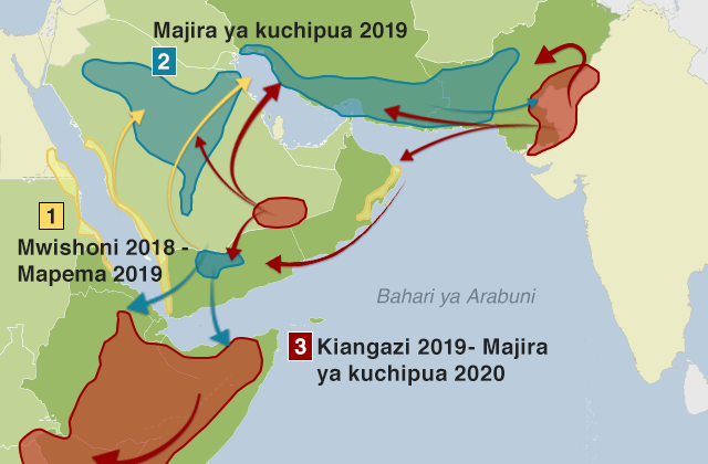 Ramani inayoonesha jinsi gani nzige walivyokuwa wakizaliana kwa misimu kadhaa na kuhama kutoka Arabuni mpaka Pembe ya Afrika na mpaka wa India na Pakistani.