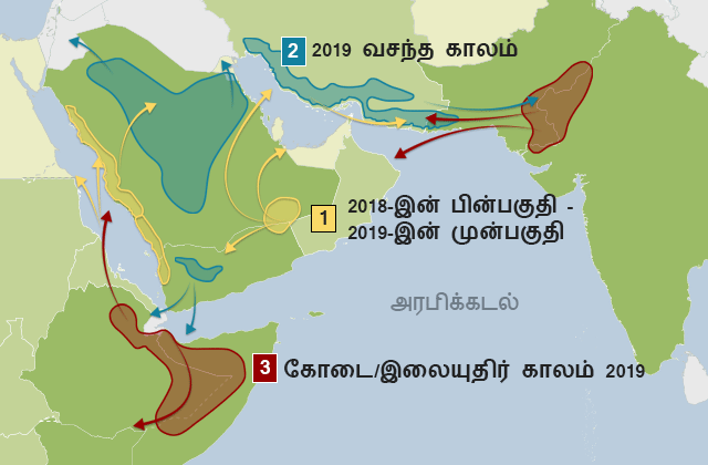 பல பருவ காலங்களில் வெட்டுக்கிளி கூட்டங்கள் எப்படி உருவாகி அரேபிய தீபகற்பப் பகுதியில் இருந்து ஹார்ன் ஆஃப் ஆப்பிரிக்கா மற்றும் இந்தியா - பாகிஸ்தான் எல்லை வரை நகர்ந்து சென்றன என்பதைக் காட்டும் வரைபடம்.