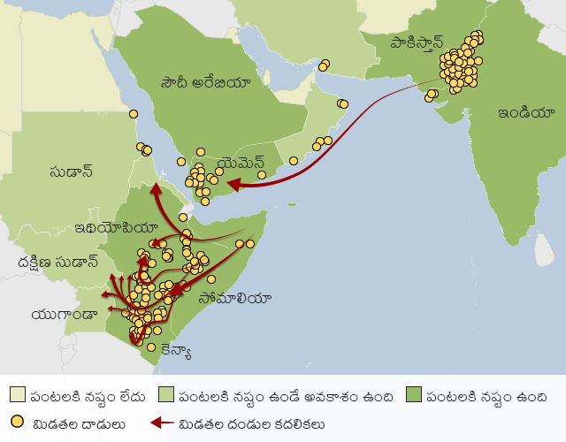 హార్న్ ఆఫ్ ఆఫ్రికాలో, ఎర్ర సముద్రం రెండు వైపులా, భారత్ -పాకిస్తాన్ సరిహద్దుల్లో మిడతల దండు దాడిని చూపిస్తున్న మ్యాప్. మిడతల సమూహాలు ఇథియోపియా, కెన్యా మీదుగా కూడా ఇతర దేశాలకు కూడా వెళ్తున్నాయి.