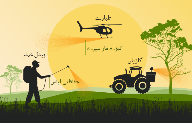 یہ انفوگرافک ظاہر کرتی ہے کہ کس طرح پیدل، ہوائی جہاز کے ذریعے یا گاڑیوں کے ذریعے کرم کُش ادویات چھڑکنے سے ان جھنڈوں پر قابو پایا جاسکتا ہے۔