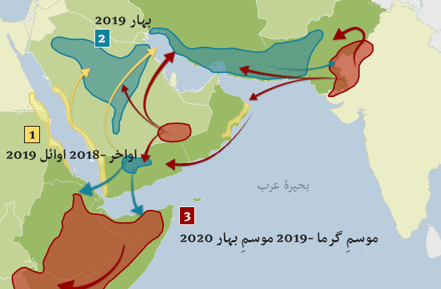 یہ نقشے ظاہر کرتے ہیں کہ کیسے ٹڈّیوں کے جھنڈوں کی مختلف موسموں میں افزائش ہوئی اور کیسے انھوں نے جزیرہ نما عرب سے قرنِ افریقہ سمیت انڈیا اور پاکستان کی سرحد کا رخ کیا۔