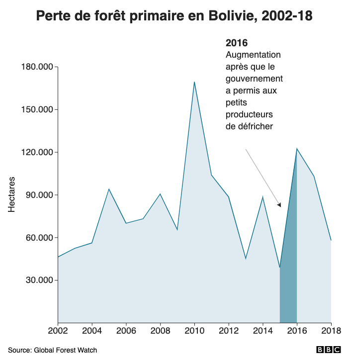 Perte de forêt primaire en Bolivie, 2002-19