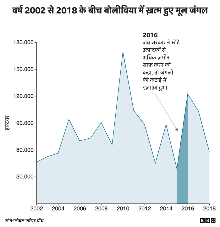 वर्ष 2002 से 2019 के बीच बोलीविया में ख़त्म हुए मूल जंगल